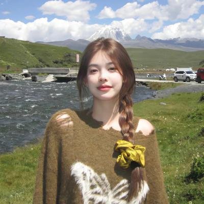 抵挡计划